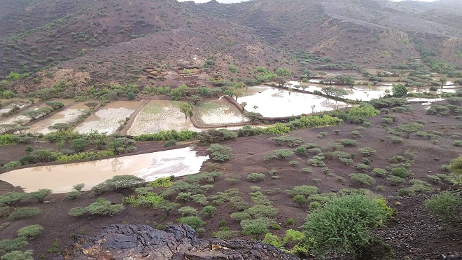 صورة أثناء موسم تساقط الأمطار صورة أثناء موسم تساقط الأمطار